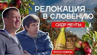 Как начать всё заново в Словении: сидроварня и фермерство с нуля. История братьев Скибиных