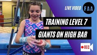 Baylee (Training Level 7) Working Giants with Coach Seth