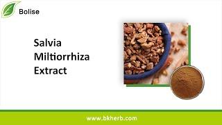 Salvia Miltiorrhiza Extract(Danshen Root extract), Manufacturer, Factory, Bulk Buy