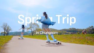 Spring Trip in Chungnam