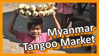 Myanmar 2012 - Amazing open air farmers market of Taungoo (1033)