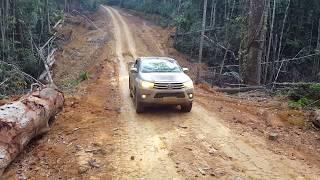 Sustainable forest management project, Rondônia, Brazil