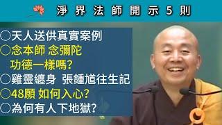 天人送供真實案例；念本師 念彌陀 功德一樣嗎？雞靈纏身 張鍾馗往生記；48願 如何入心？為何有人下地獄？~ 淨界法師微開示 5 則