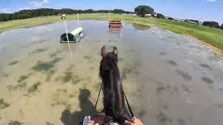 GoPro: Capo dei Capi (Open Preliminary | 2024 Ocala Summer II Horse Trials)