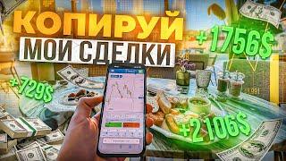  ЛУЧШИЕ СИГНАЛЫ В ТРЕЙДИНГЕ 2024 | Pocket Option 2024 