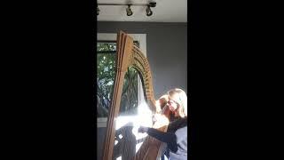 Moondance on harp