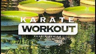 Karate Workout For Beginners - Dec 25 2021
