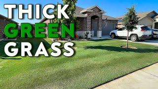 Thick GREEN Bermuda Grass