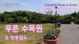 푸른수목원 / 항동철길 / 가볼만한 곳 009 / 5,6월 추천여행지 / Pureun Arboretum / Beautiful Places in Korea