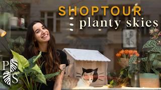 Mein Zimmerpflanzen-Shop in Berlin  | Entdecke planty skies!