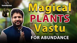 Lucky Plants for Home Vastu | Best Vaastu Plants for Home