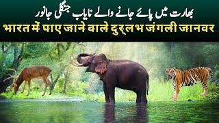 Rare Wild Animals in India | Wildlife Hotspots in India | The Land of Tiger