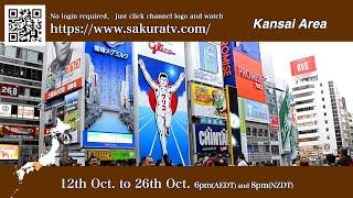 Explore the Timeless Charm of Kyoto, Osaka & Hyogo, JAPAN on Sakura TV