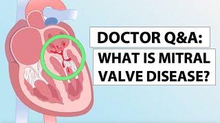 Mitral Valve Disease Awareness: What Is Mitral Valve Disease?