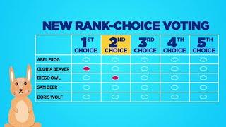 How Does Ranked Choice Voting Work?