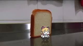 Momoi say Nig- *bread falling* [blue archive]