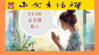 S3-28 正念謢身心--香光正念生活禪 #可以妨老和逆齡, #比吃保健品更有效 # 感恩 #細胞健康法  #正念療癒力  #正念冥想練習