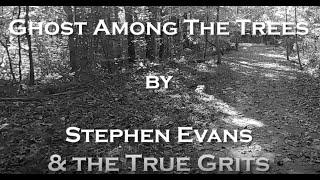 Ghost Among the Trees - Stephen Evans & the True Grits - Official Lyric Video