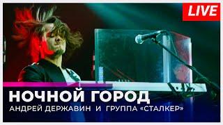 Андрей Державин - Ночной город (Live "Большая рыба")