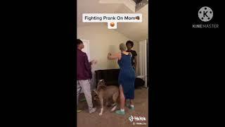 DM T.V FUNNY TIKTOK VIDEOS [MUST WATCH]