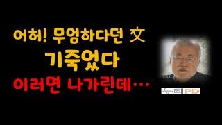 어허 무엄하다/ 문재인 그 호기는 다 어디 갔노/이러면 나가린데... 똥줄탄다/누리PD-TV