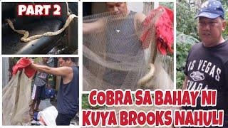 COBRA SA BAHAY NI KUYA BROOKS NAHULI KONA