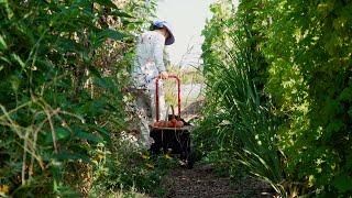 How a West Sacramento Farm is Helping Refugees Thrive - America's Heartland