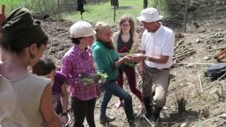 Syntropic Agroforestry in Spain with Ernst Götsch