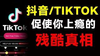 你已经被抖音毁掉了！揭秘让你上瘾的5大根源，想戒掉真的很难！【心河摆渡】