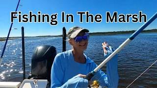 I Spent a Day in the Marsh Fishing and Caught ???