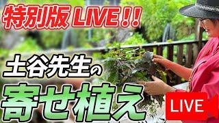 《最後にやっちゃんイベントの詳細情報有り》11月8日 土谷先生の寄せ植えをLIVEにてご紹介！八王子本店からお届けします！