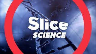 Welcome to SLICE SCIENCE 🪐