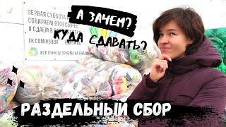 Раздельный сбор мусора - это легко! 4 способа сдать мусор в переработку