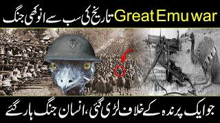 The Great EMU War | How Australia Lost War Against Birds ? In Urdu and Hindi