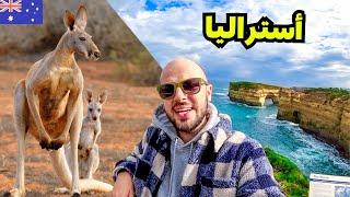 عربي في بلد الكنغر لأول مرة!  قصة أستراليا 