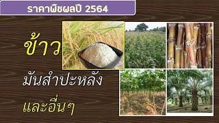 .....ราคาผลผลิตทางการเกษตร เดือน พ.ย 2564