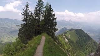 Rigi Hochflue