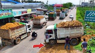 Perfectly Starting Landfill Project! by Skill Bulldozer Pushing Stone with Dump Truck 5-Ton, Mix VDO