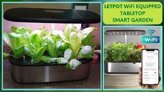 Smart Hydroponic Tabletop Garden (LETPOT) Unbox, Set Up and Product Testing