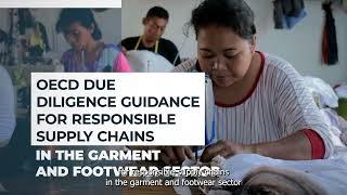 OECD Due Diligence Checker for Responsible Supply Chains in Garment and Footwear