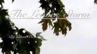 The Leaves' Storm