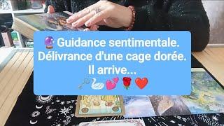 Guidance sentimentale. Délivrance d'une cage dorée. Il arrive... ️️