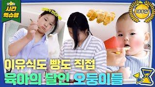 주말마저도 육아로 시끌벅적 오둥이 정성호네 [슈돌 유튜브] KBS 230808 방송