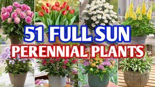 51 Full Sun Perennial Flower Plants | Grow these Perennial Flowers in full sun | Plant and Planting