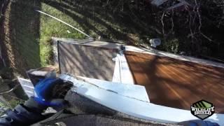 Inspection and Squirrel Removal - Wildlife Shield