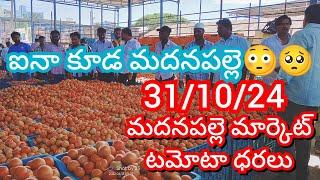 31-10-24 Madanapalle Tomato Market price Today || Today Tomato Market Rate in Madanapalle #today