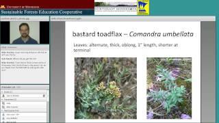 MN Forest Understory Plants ID for Native Plant Communities