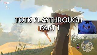 Tears of the Kingdom Hogerchris Playthrough Part 1