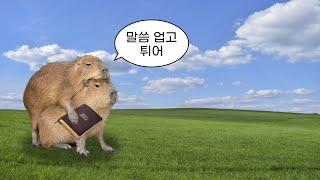 [CCM Playlist] 너는 반짝반짝 빛나는 별이야