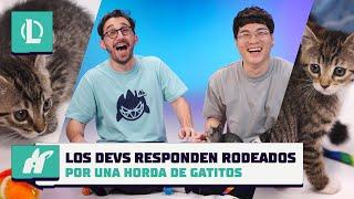 Los devs responden preguntas rodeados por una horda de gatitos | League of Legends